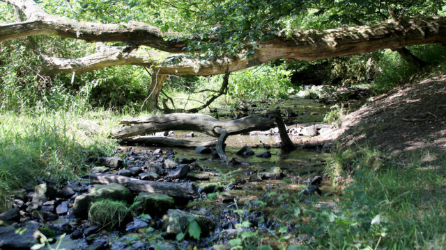 Murmelbach Murmelbach