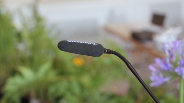 Verbandsversammlung