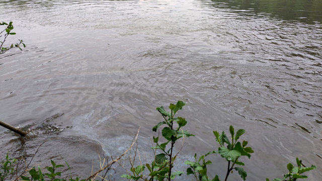 Ölschlieren an der Wupper-Vorsperre Ölschlieren an der Wupper-Vorsperre