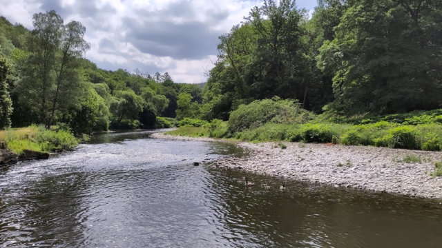 Wupper in Solingen am Balkhauser Kotten Wupper in Solingen am Balkhauser Kotten