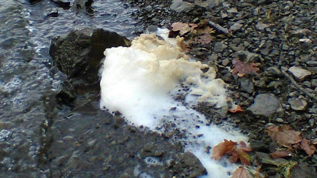 Ansammlung natürlichen Schaums am Ufer (hier: Brucher-Talsperre) Ansammlung natürlichen Schaums am Ufer (hier: Brucher-Talsperre)